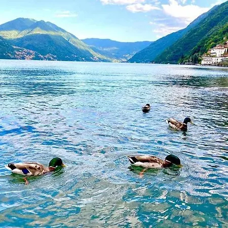 Lägenhet Mansarda Sul Di Como
